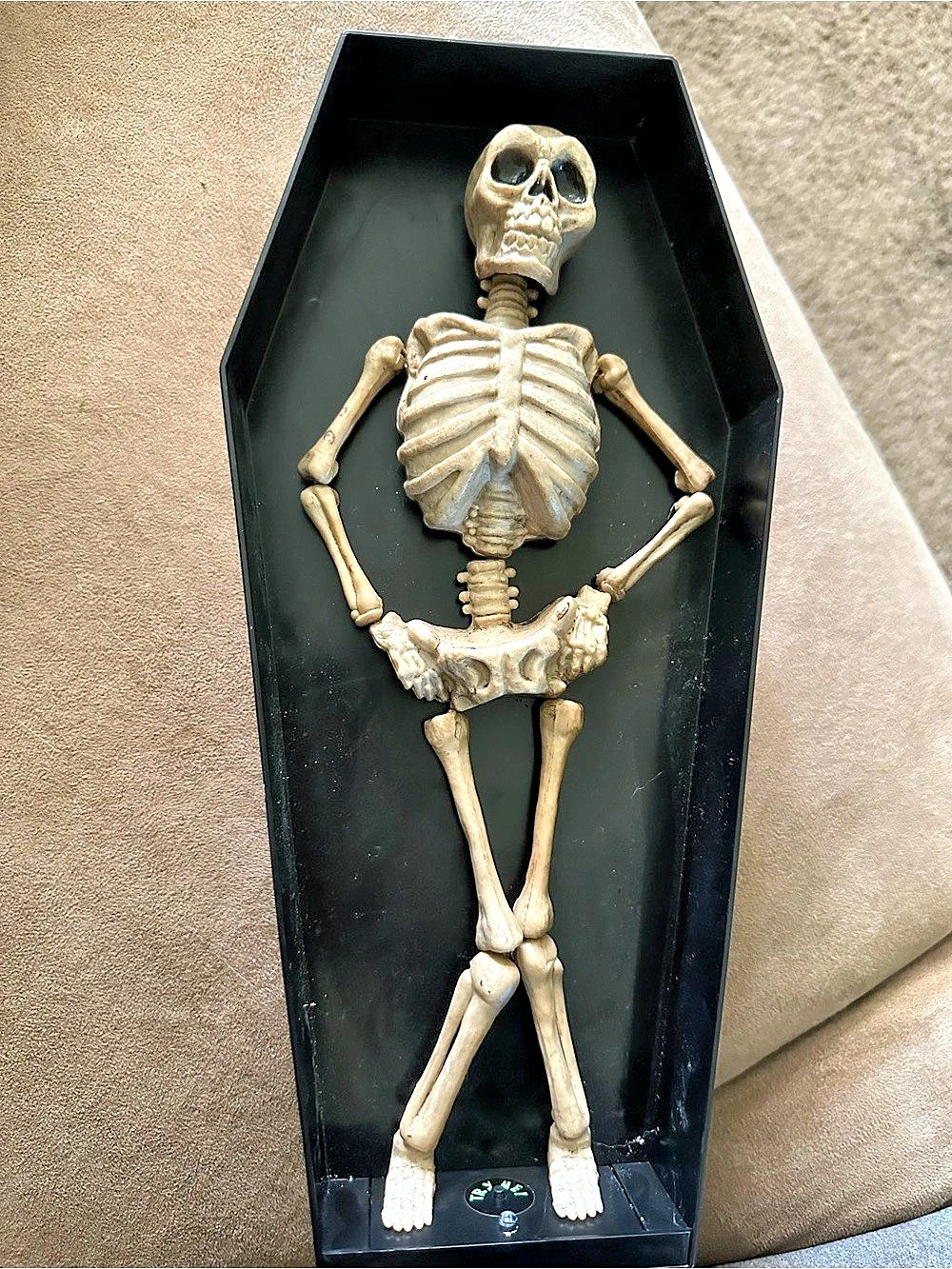 Mr. Halloween 12 in. Animated Skeleton Coffin Decor